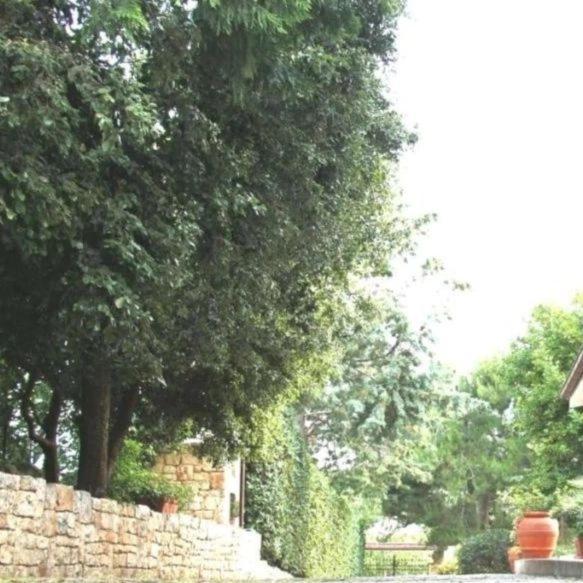 Casa Marisa Villa Vacanza Castellana Grotte Exterior photo