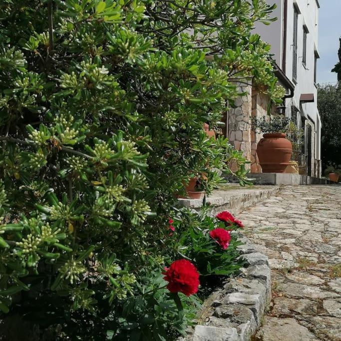 Casa Marisa Villa Vacanza Castellana Grotte Exterior photo