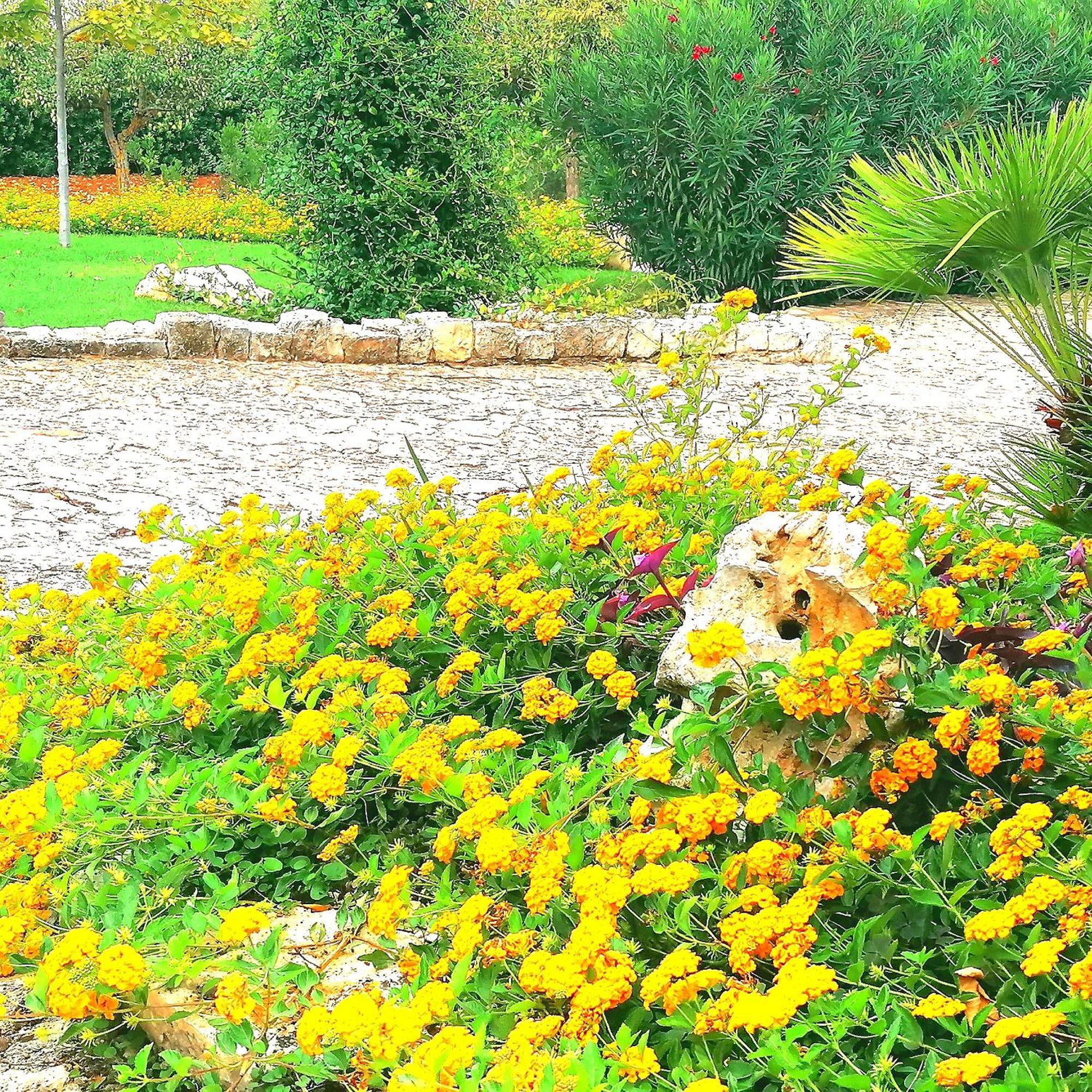 Casa Marisa Villa Vacanza Castellana Grotte Exterior photo